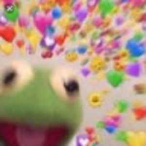 Meet your Posher, Reyna